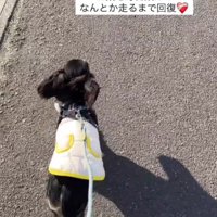 こんなに元気を取り戻したよ！