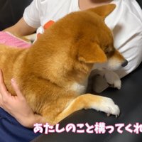 テレビに夢中になっていたら…