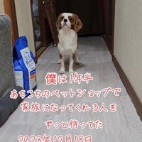 家族に引き取られただいちくん