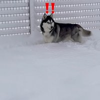 おこめくんが気付いて…