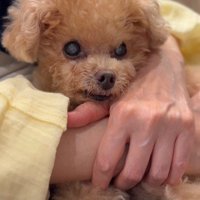 頑張り屋さんなふわちゃんでした