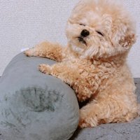 寝相のバリエーションが豊富♡