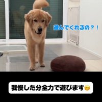 子育て中の家族とこてつ君の日常9