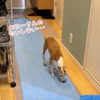 作業員さんを必死で探します