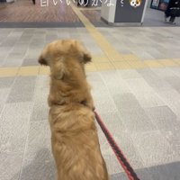 「あれは！？」