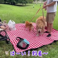 早速レジャーシートの上へ