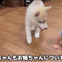 ハイハイの応援をするにこちゃん