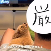 おちょぼ口のあられちゃん