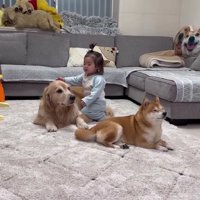 おからちゃんに近づいて…