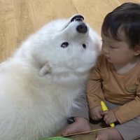 癖