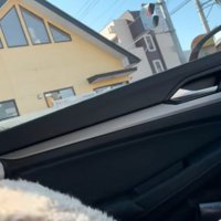 隠れようとする犬
