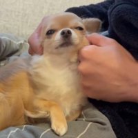 特等席