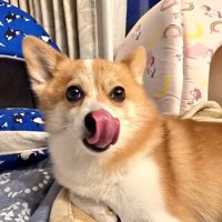 あざと可愛い