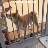 「本当に大好きなんだよ」