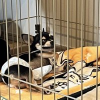 家では全く違う表情に