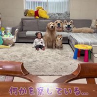 3兄妹は何かを察知