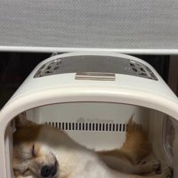 まさかの爆睡！？