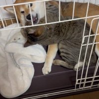 大好きなあんずちゃんに…