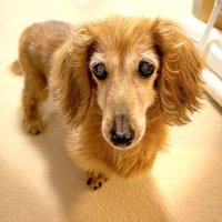 やっと見つけた