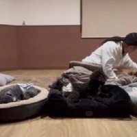 幼稚園のお泊り会みたい…！