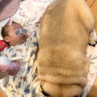 強引に添い寝するもち丸くん3