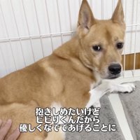 この日の雷は怖かった