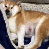 圧迫で顔がむにゅっ