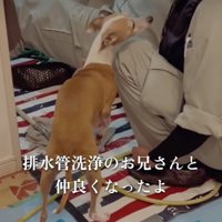 2年前、作業員さんとの出会い