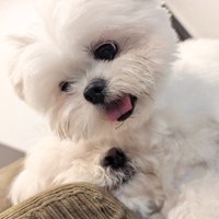 顔を踏まれてしまっても…