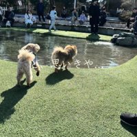 楽しくなり過ぎて…
