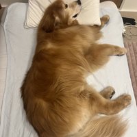 ぴったり