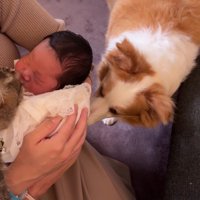 猫さんと一緒にクンクン♪