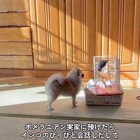 初めての出会い