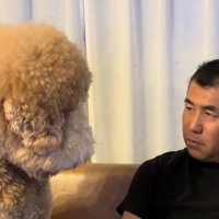 犬と見つめ合う人
