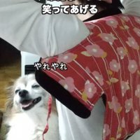 「ボケ」には大爆笑