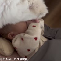 ベッドで寝る赤ちゃんを見守る犬の後ろ姿2