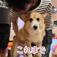 「もはやこれまで…」