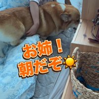 お姉ちゃんの目覚まし役♪