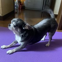 のび