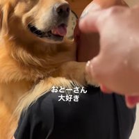 パパさんに甘えるモッシュくん7