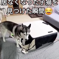 「もしかして家出…？」