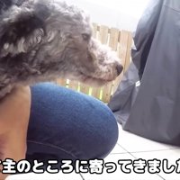 迎え入れることを決意