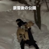 豪雪！