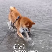 石が取れそうな海くん