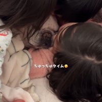 犬の顔にキスをする3人の子供