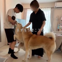 熱烈なお出迎え