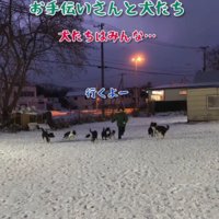 全員が付いていく♪