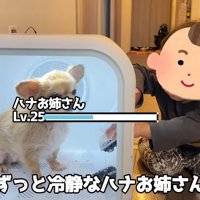 もう1個おもちゃを入れてくれました