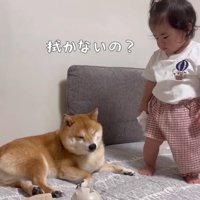 うにくんの近くにやってきた