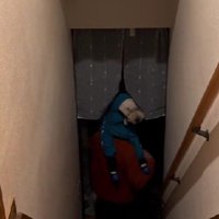 「いってきまーす！！」